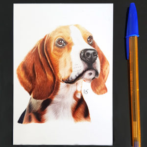 Carte postale Beagle